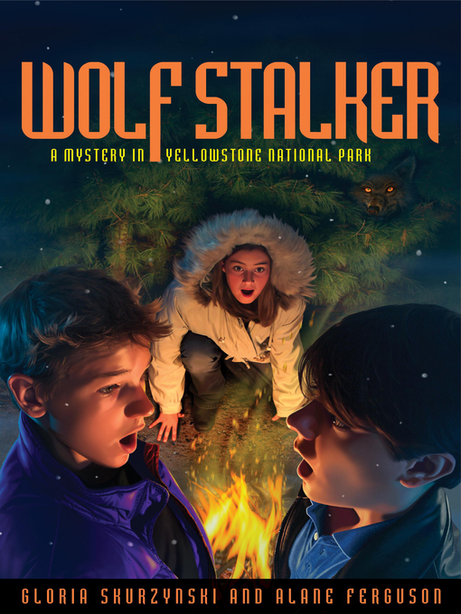 Cover image for Mysteries in Our National Parks